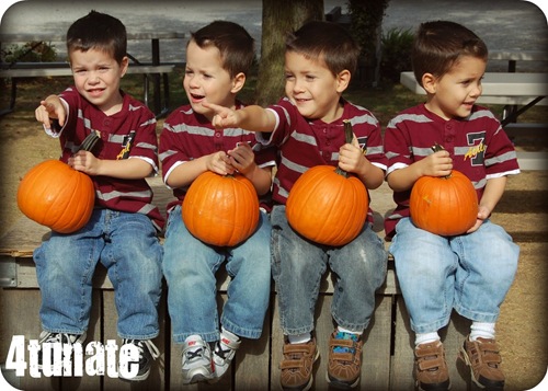 4 little pumpkins