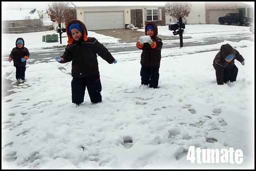 playing in the snow