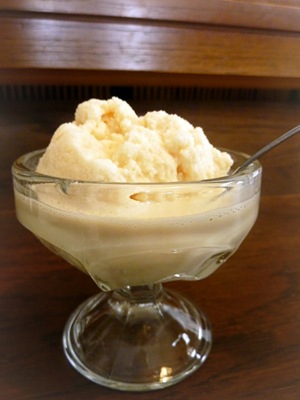 homemade snow ice cream