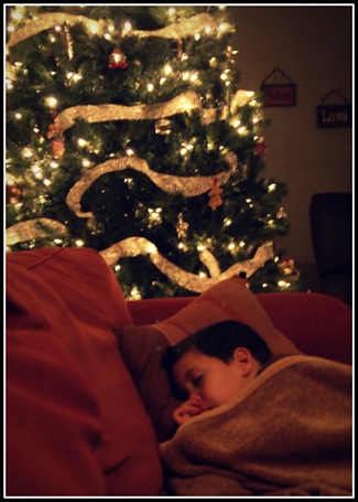 sleeping under the christmas tree