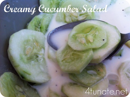 Creamy Cucumber Salad Recipe