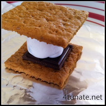 smores on the grill