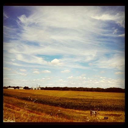 indiana farmland summer