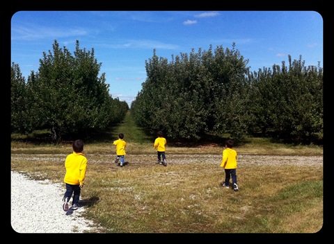 field trip to beasley's apple orchard indiana