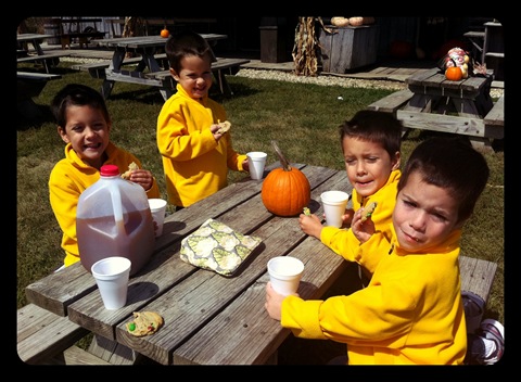 fresh apple cider at beasley's orchard indiana