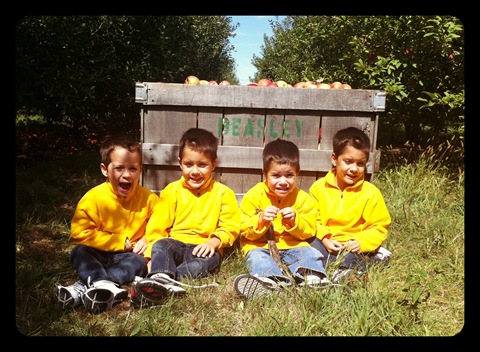 visiting beasley's apple orchard