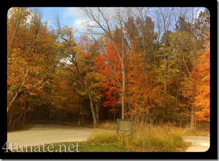 eagle creek in the fall