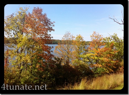 eagle creek resevoir fall trees scenery