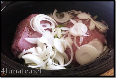 easy pulled pork in crock pot recipe