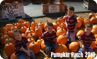 pumpkin patch with quadruplets 2010