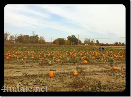 visiting pumpkin patch with kids picking pumpkins