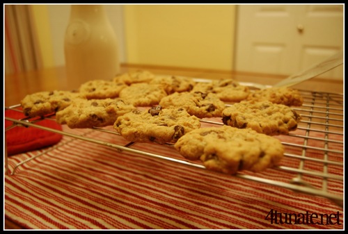 homemade oatmeal cookies slice and bake
