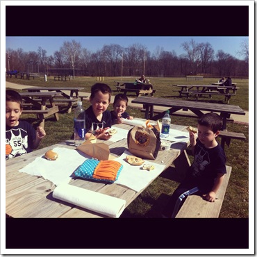 einstein brothers bagels 6 pack picnic lunch