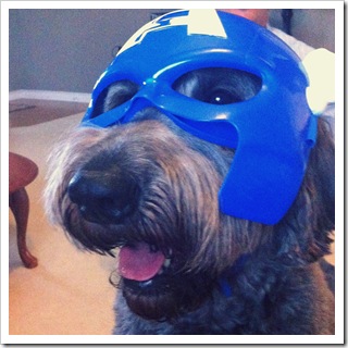 captain america costume for dogs