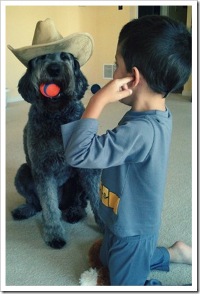 labradoodle in cowboy hat 