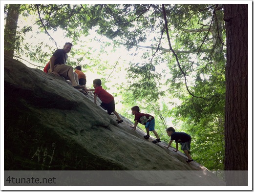 trails at turkey run state park