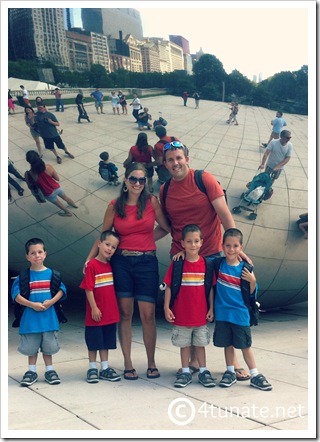 the bean family picture chicago millineum park