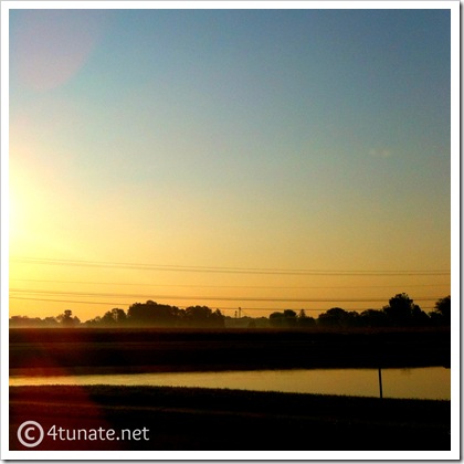 indiana farmland sunset