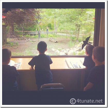 why we chose to homeschool our kindergarteners