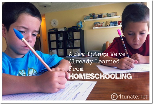 things we've already learned from homeschooling