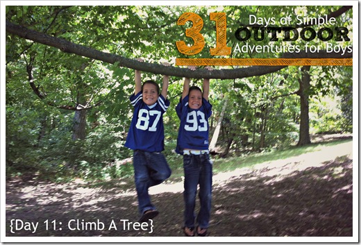 Day 11 Climb A Tree Simple Outdoor Adventures for Boys