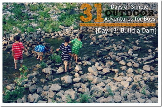 Day 13 Build a Dam Simple Outdoor Adventures for Boys