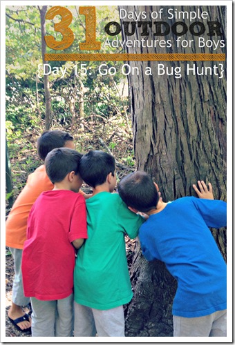Day 15 Go On a Bug Hunt Simple Outdoor Adventures for Boys