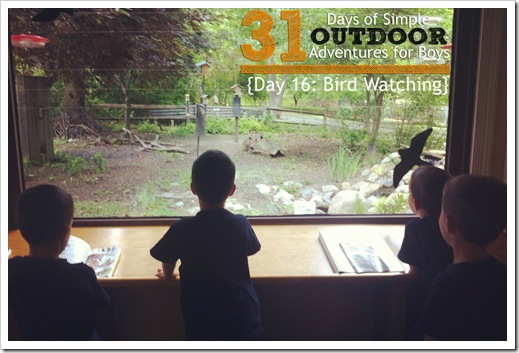 Day 16 Bird Watching Simple Outdoor Adventures for Boys