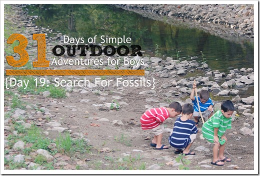 Day 19 Search for Fossils Simple Outdoor Adventures for Boys