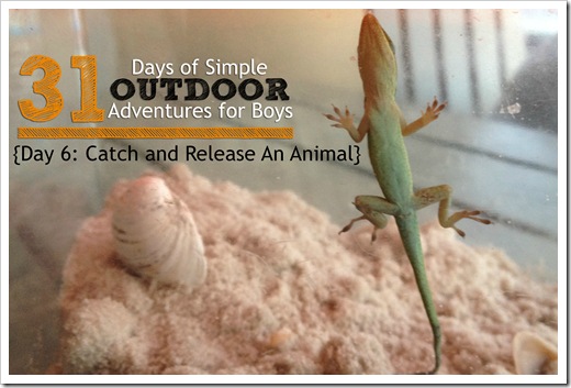 Day 6 Catch and Release An Animal Simple Outdoor Adventures for Boys.jpg