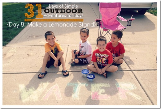 Day 8 Make a Lemonade Stand Simple Outdoor Adventures for Boys