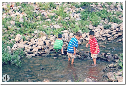 how to build a dam with rocks in a creek.jpg