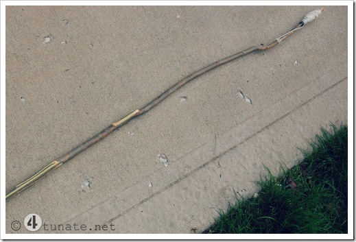 how to make a homemade fishing pole from a stick and string cane pole