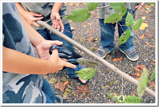 making a bow and arrow from a tree branch homemade