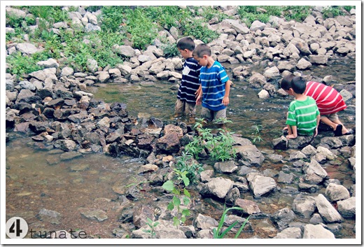 teaching boys to dam a creek