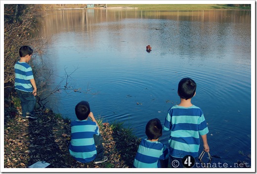 boy adventures making a homemade sailboat