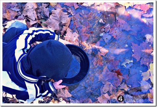 how to pan for gold in a creek with boys 