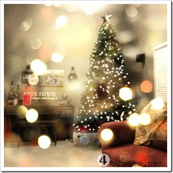 christmas lights bokeh tree