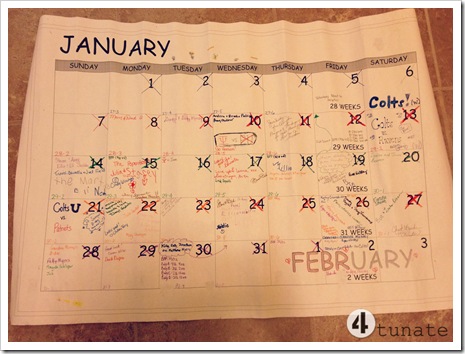 pregnancy calendar January