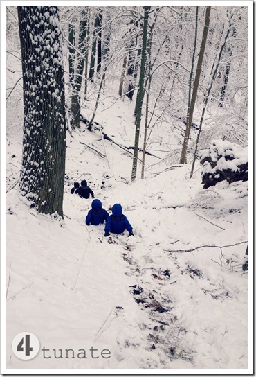 sledding at eagle creek park 