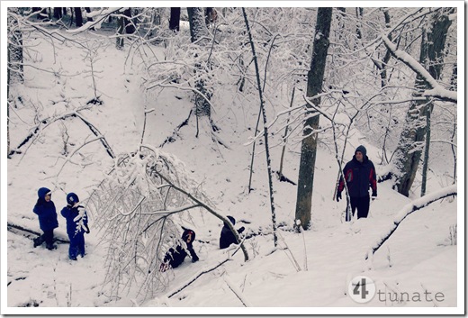 snow trails at eagle creek park winter