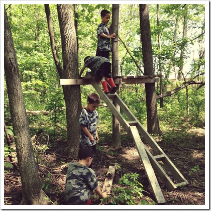 finding a magic treehouse in the woods