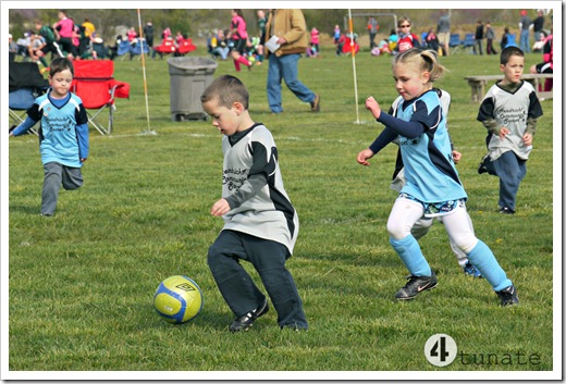 hendricks community soccer spring 