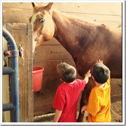 teaching kids about horse safety