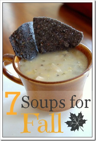 7 Soups for Fall Recipe Roundup