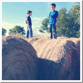 jumping on bails of hay