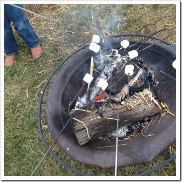 making s'mores over a fire