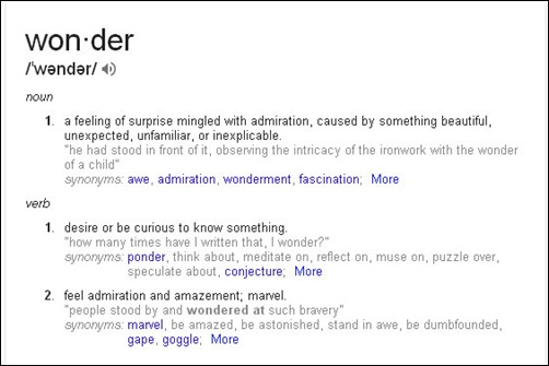 definition of wonder