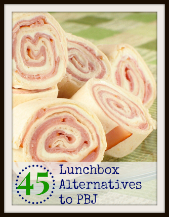 45 Lunchbox Alternatives to PBJ