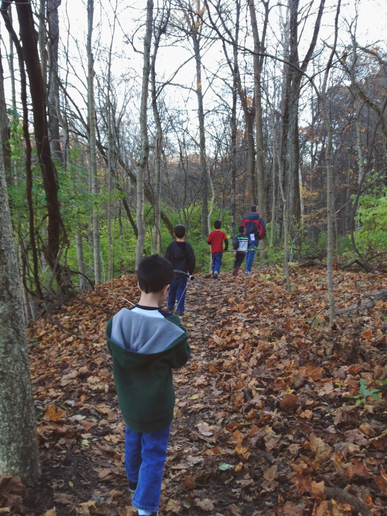 boys-exploring-woods-fall
